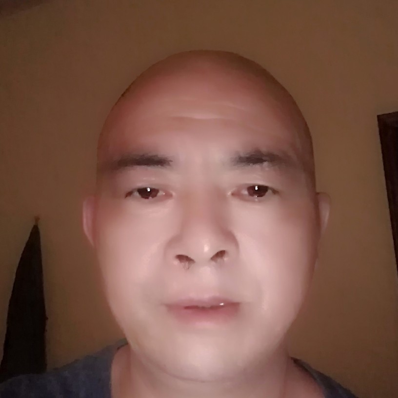奇异果那谨慎的照片