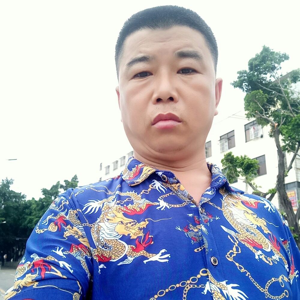 朴实和白猫的照片