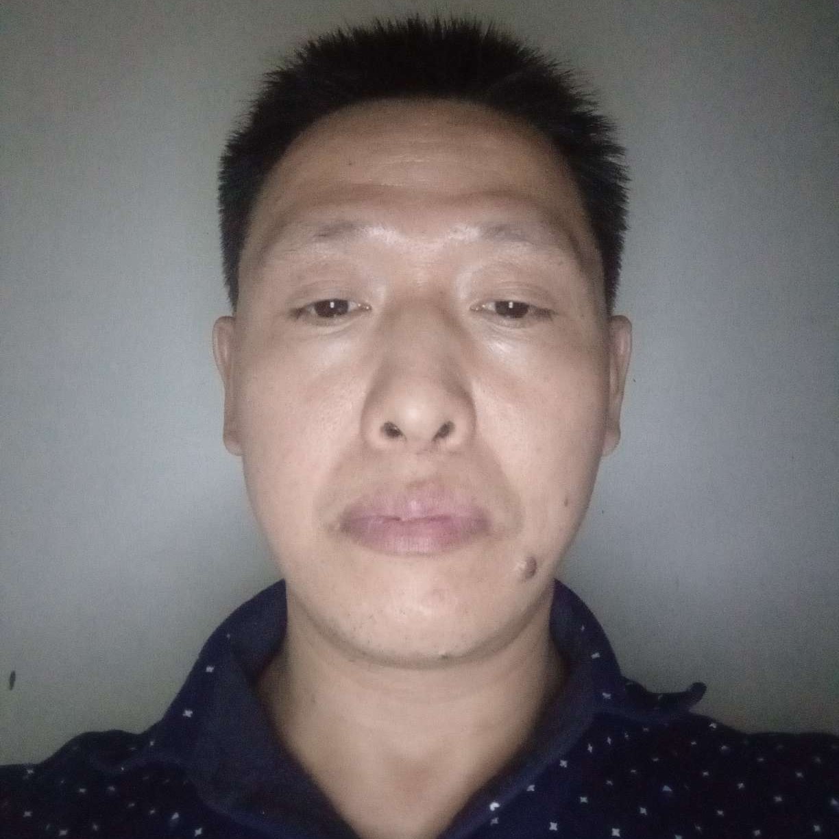 勤恳苦恋树叶的照片