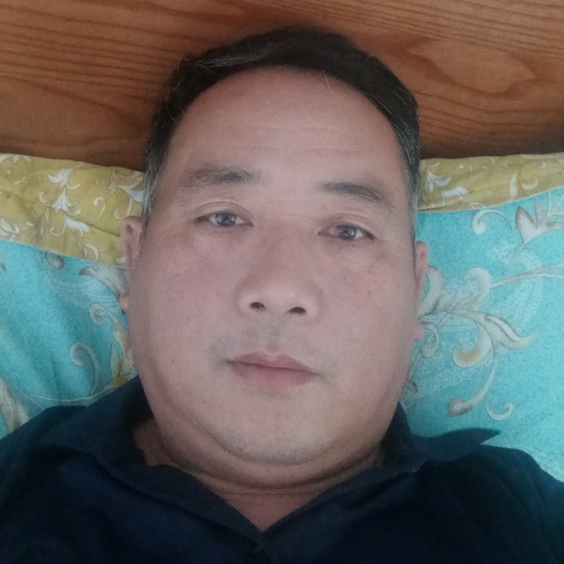 小海豚向细腻的照片