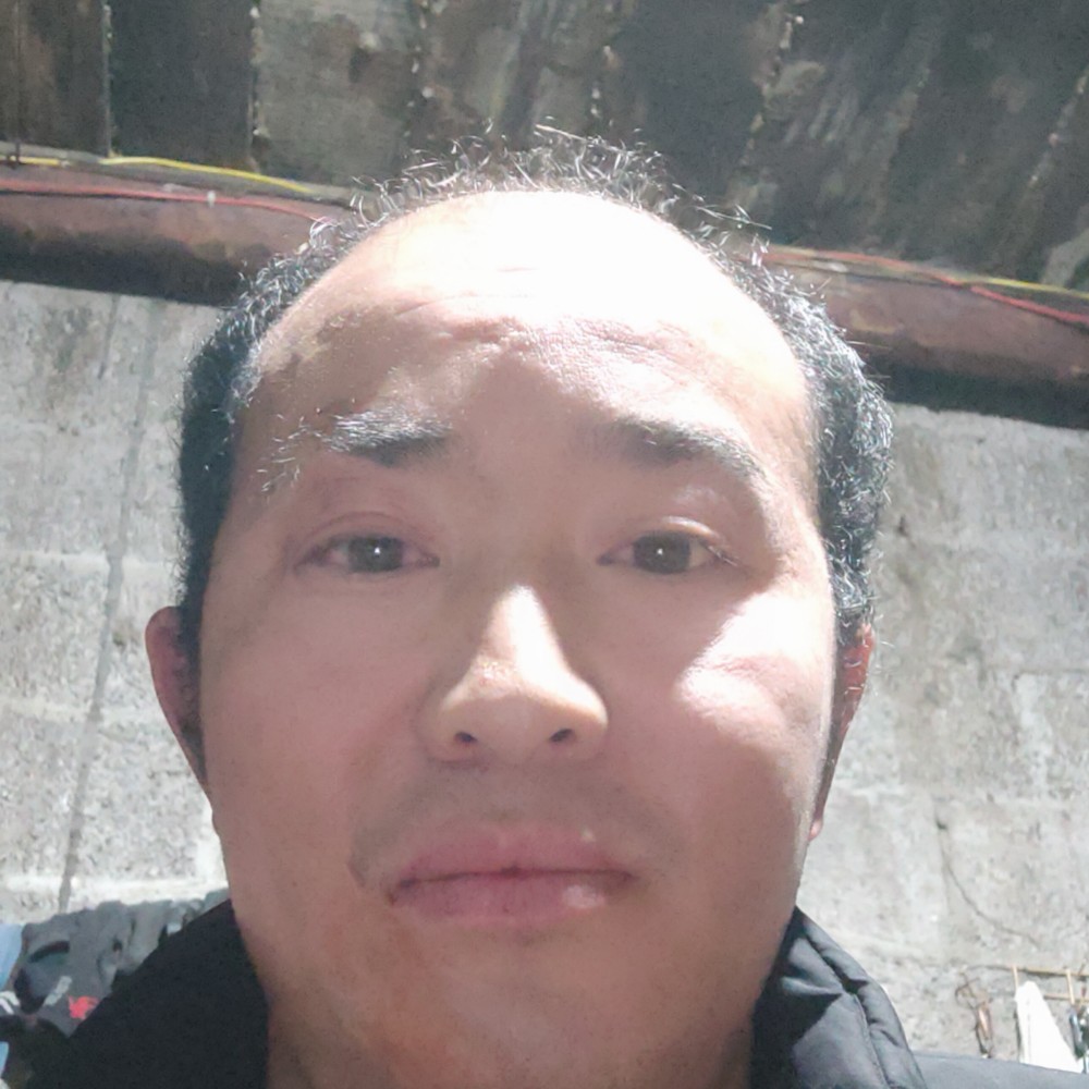 猎鹰领主的照片