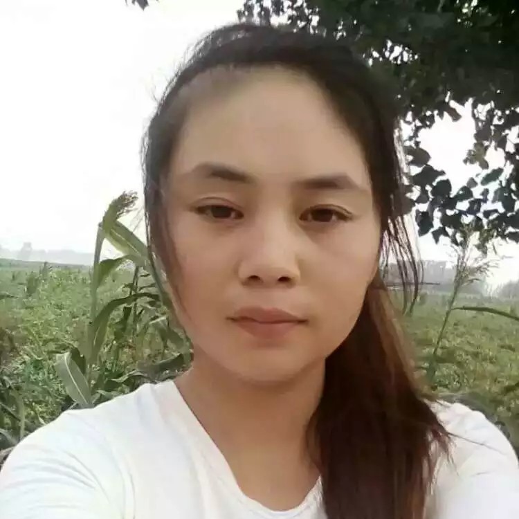 季末如初的照片