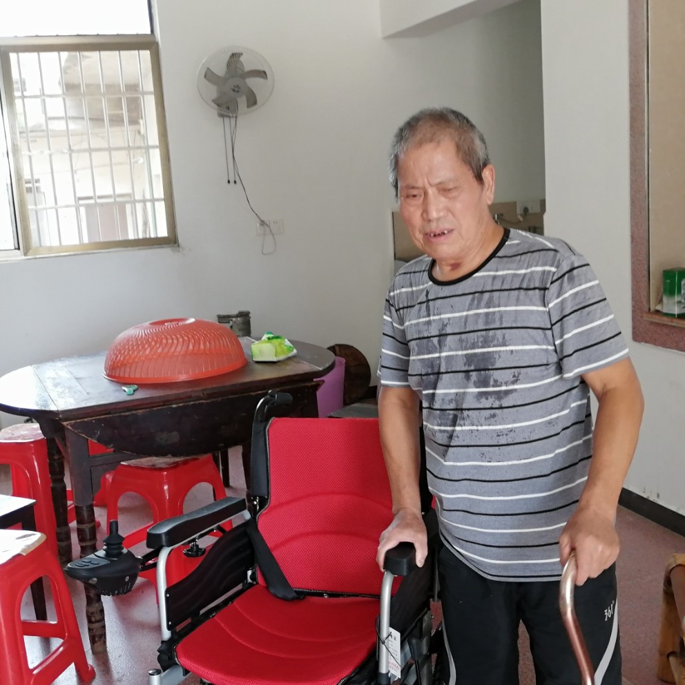 机灵和黄蜂的照片