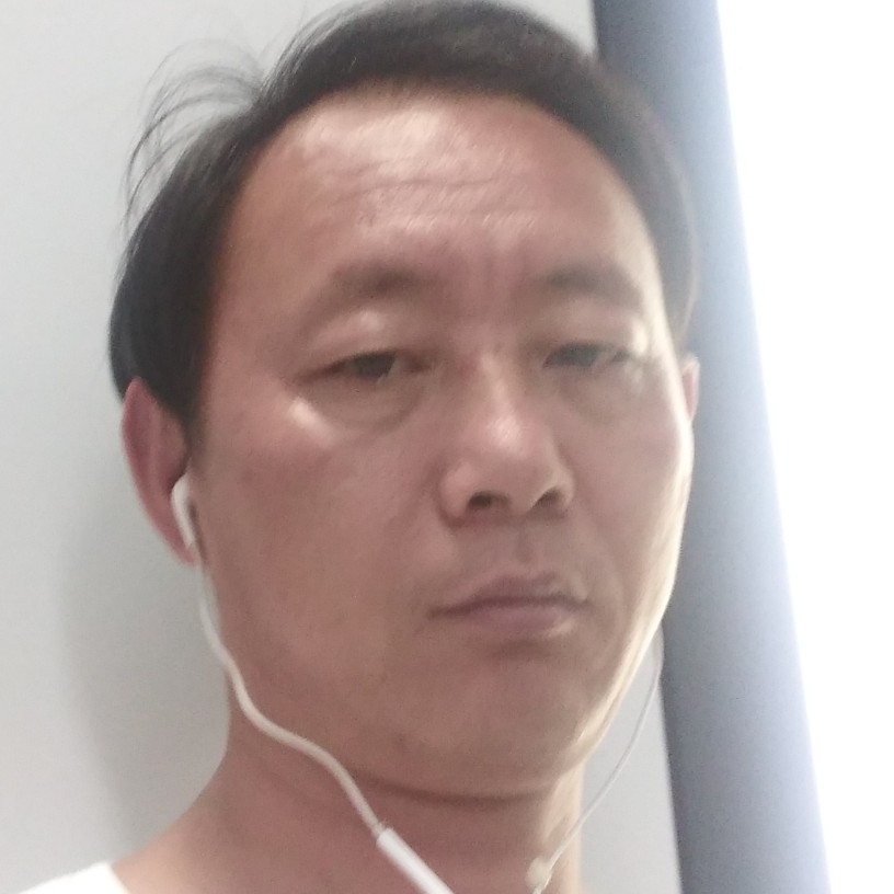 一鸟惊人的照片