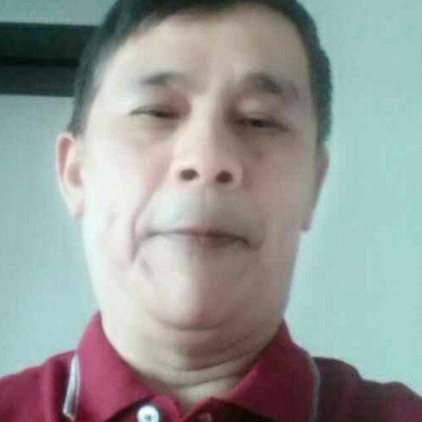 小海豚相许温柔的照片