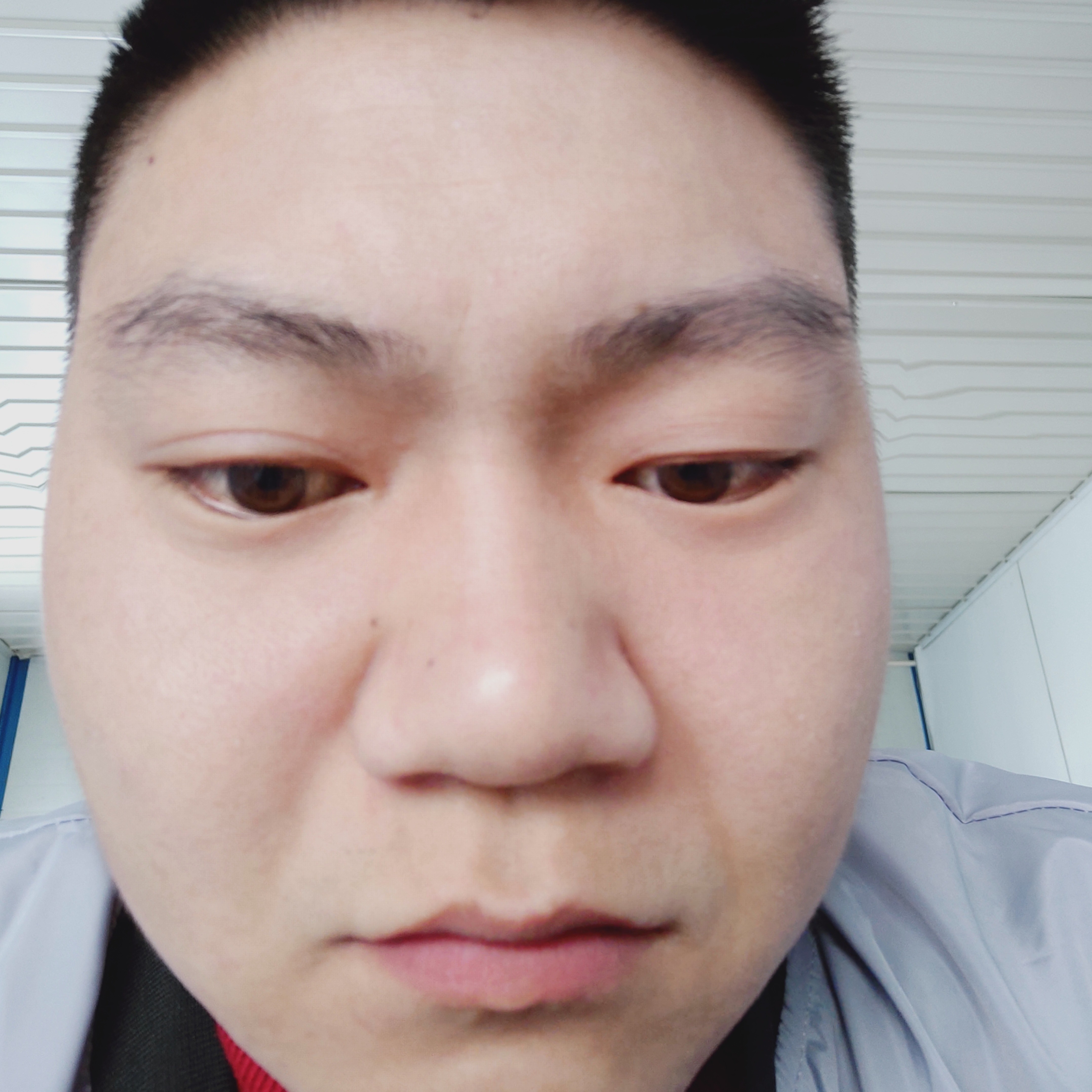 机灵放弃树叶的照片