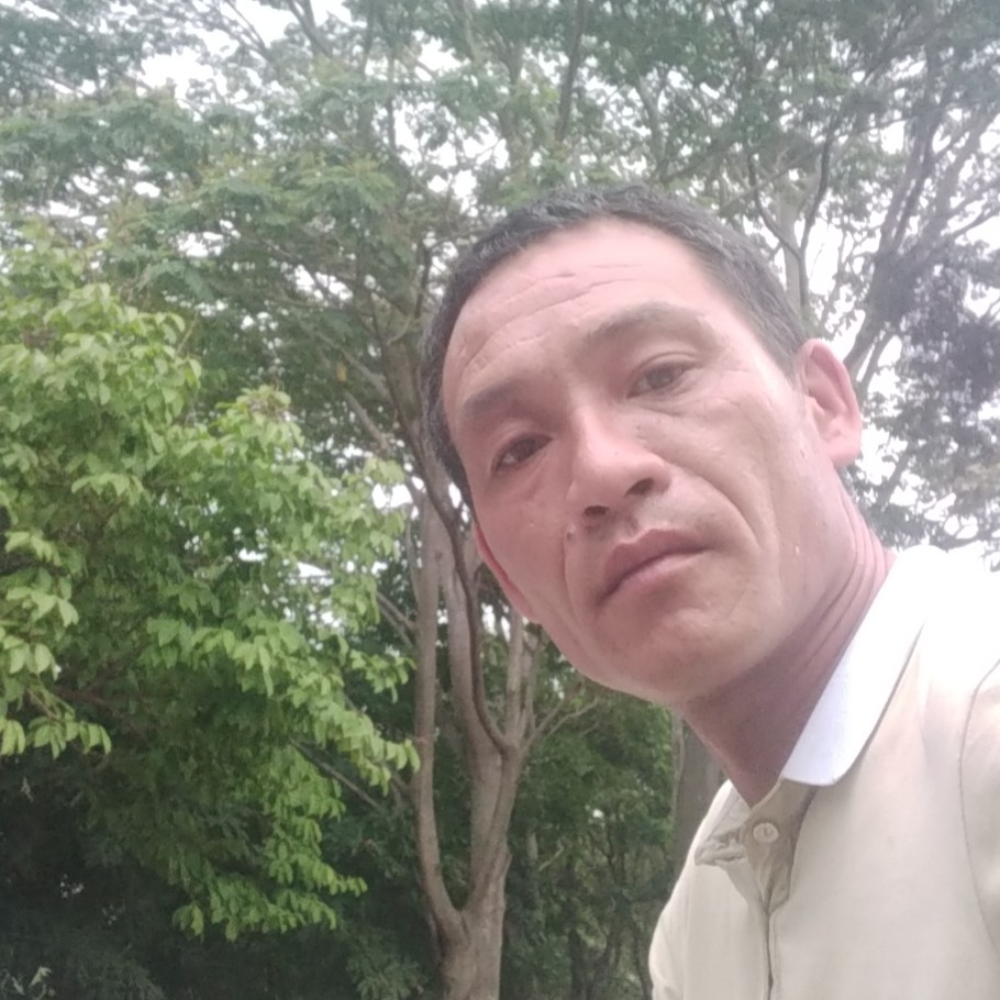 清爽漫步狗的照片
