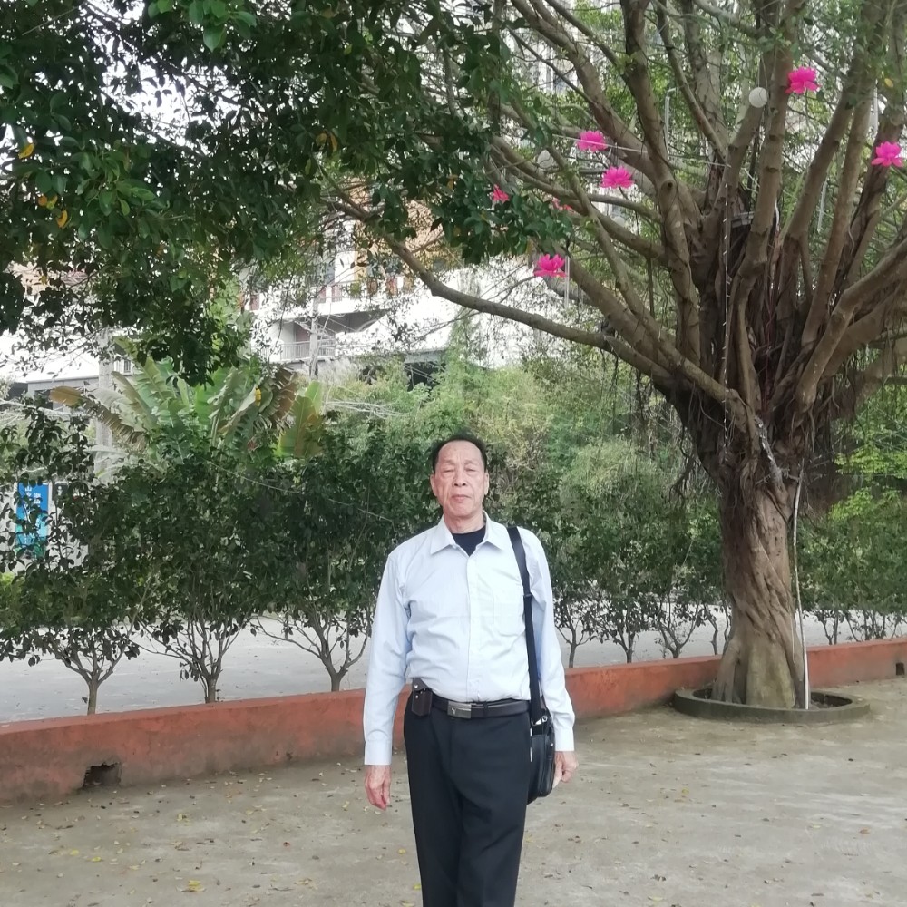小馒头向满意的照片