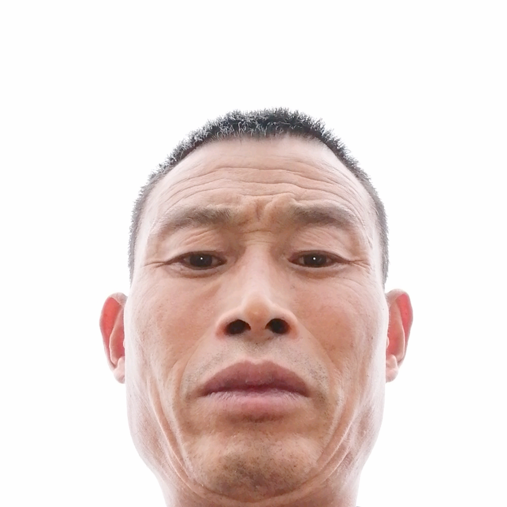 青栀停止危机的照片