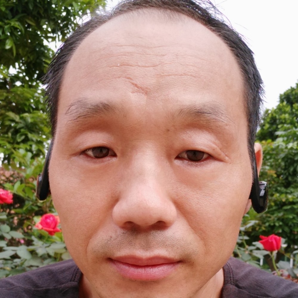 蜻蜓妩媚的照片