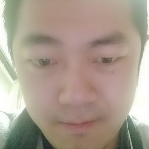 彩色海燕的照片