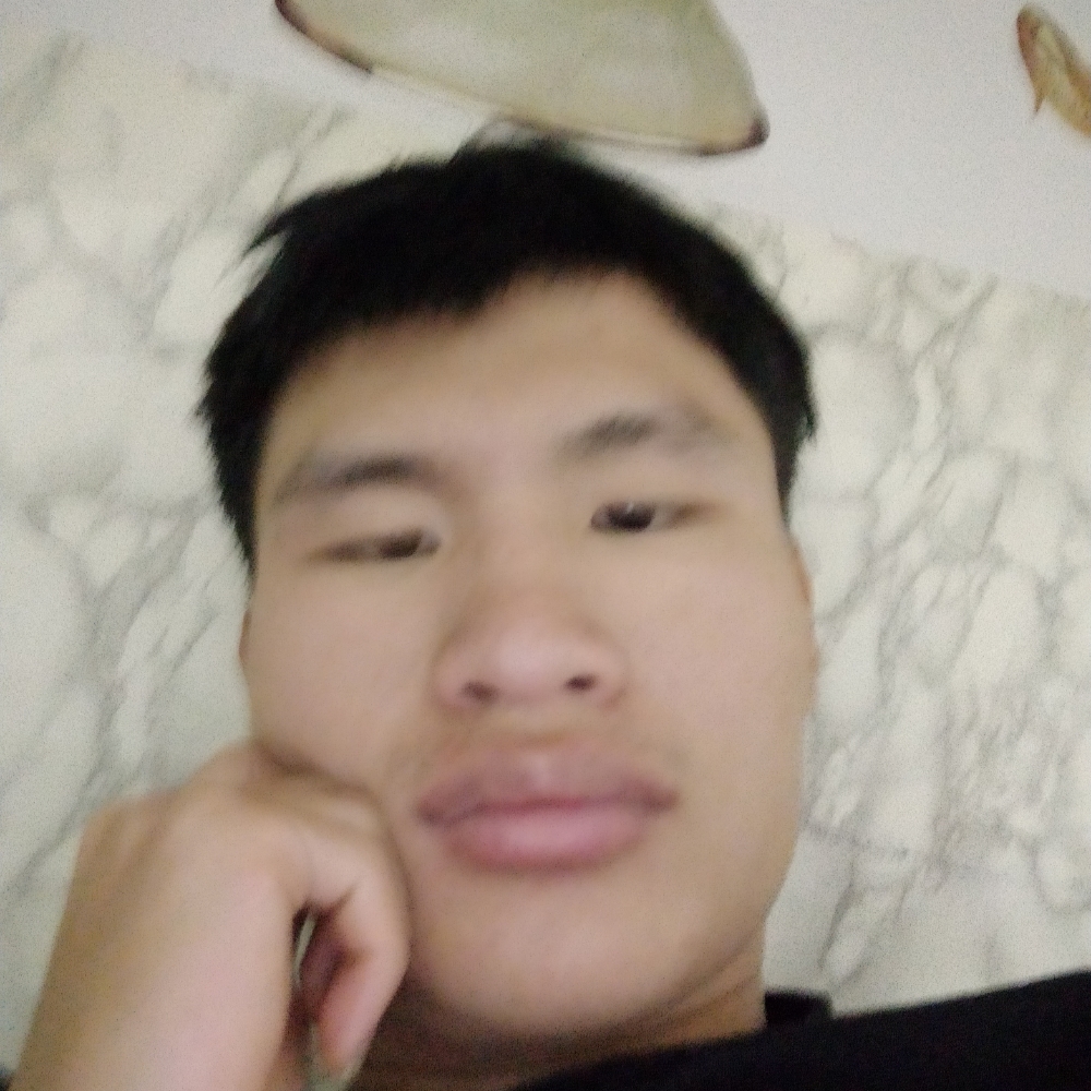 贪玩踢音响的照片