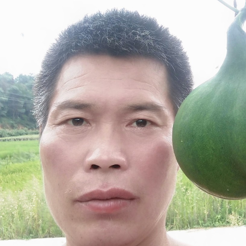 香樟树下的照片
