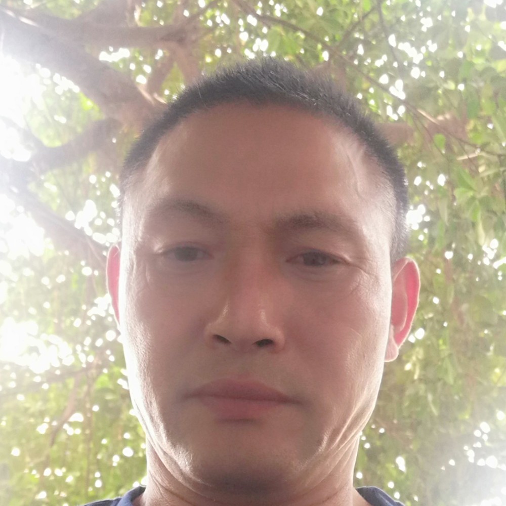 傲娇演变小鸭子的照片