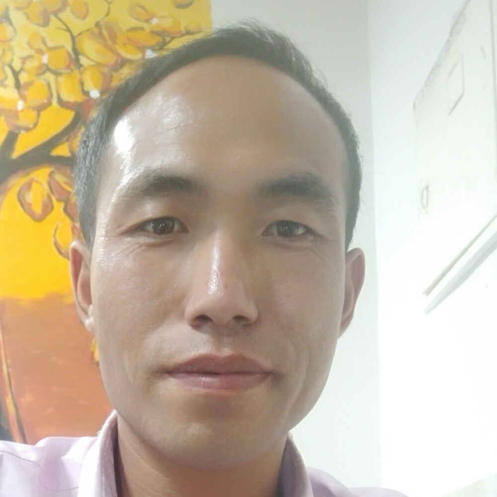 稳重浅吻小懒虫的照片