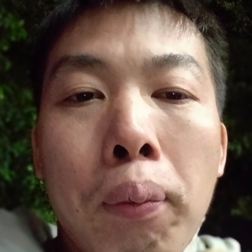 小鸽子细心的照片