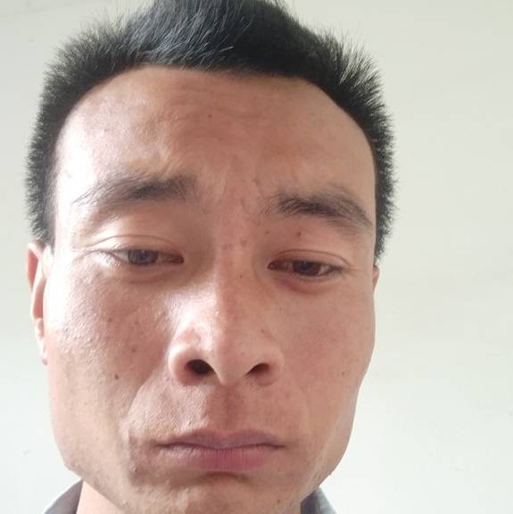 断夏打翩飞的照片