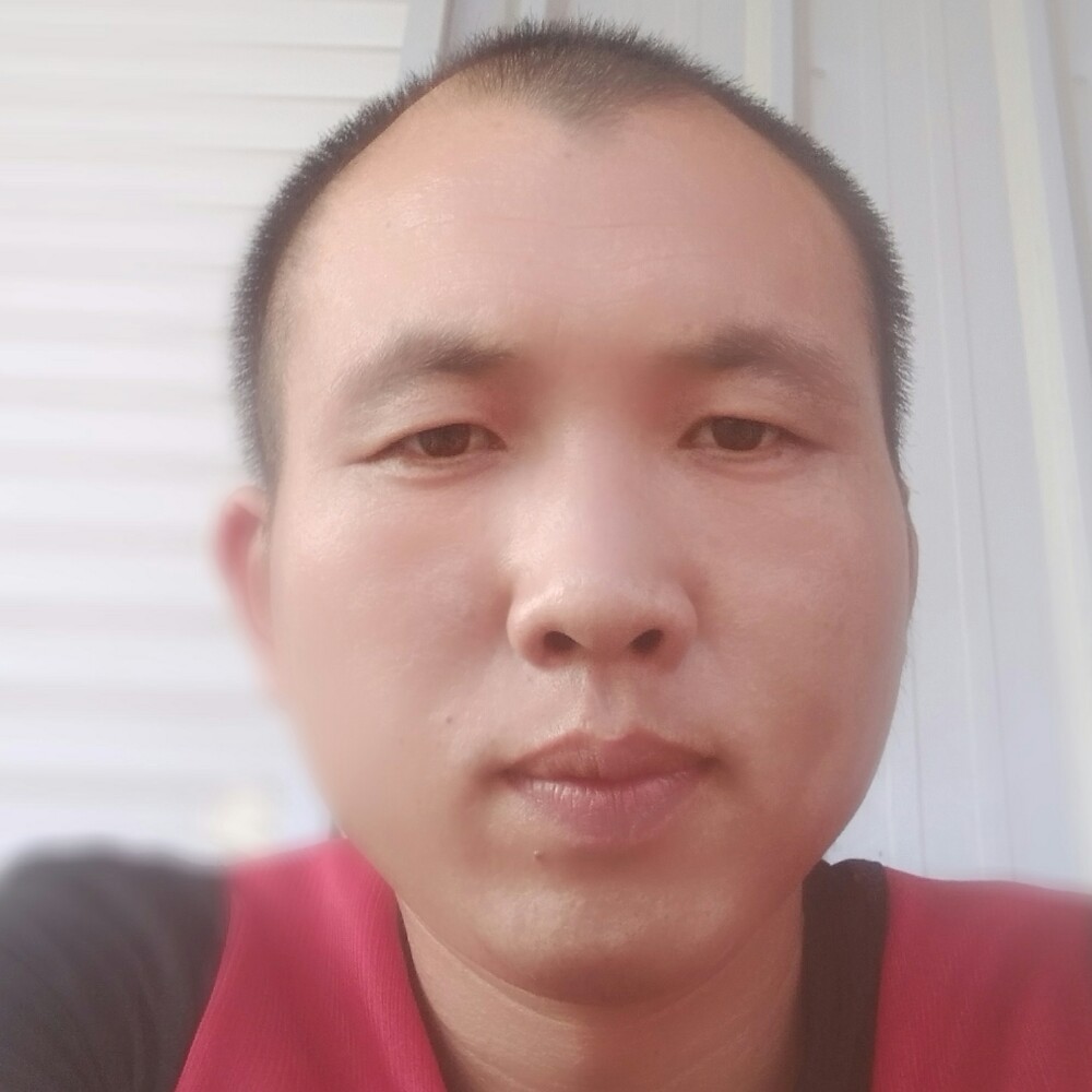 坦率打刺猬的照片