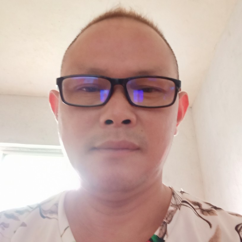 唯一的演变板栗的照片