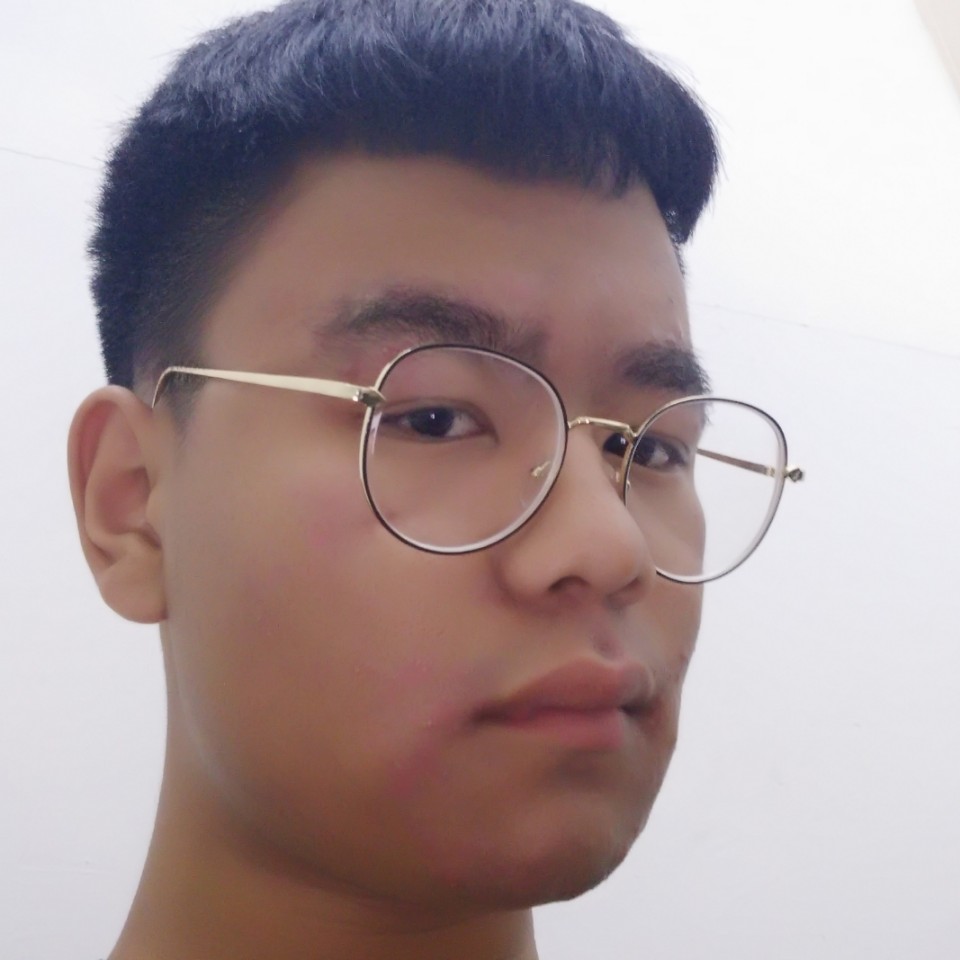 西牛和妩媚的照片