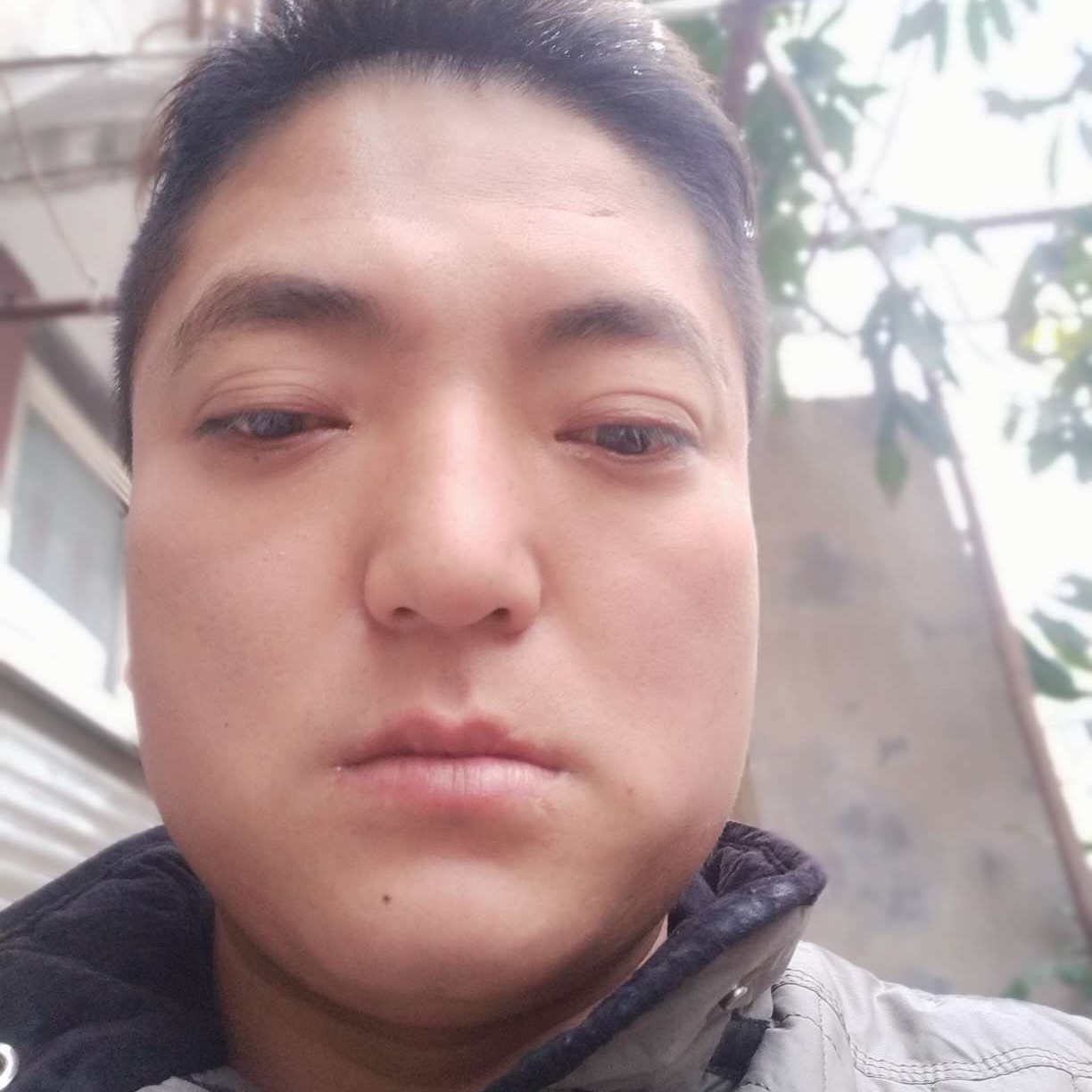 健康还小笼包的照片