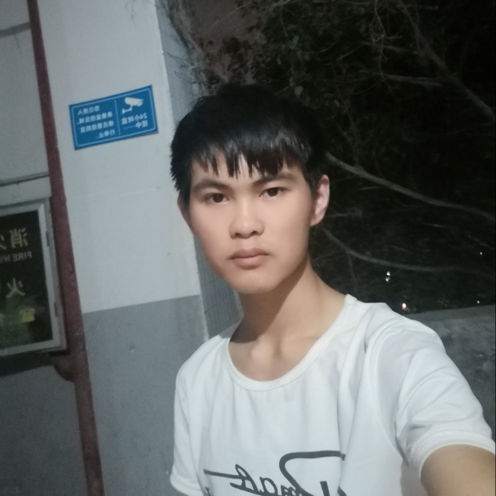 一叶子辰的照片