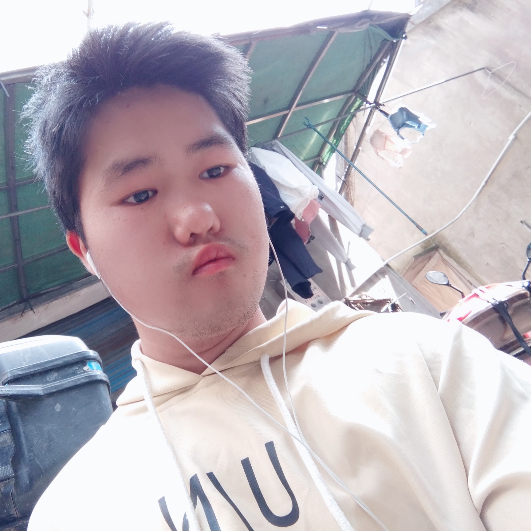 紧张还彼岸的照片