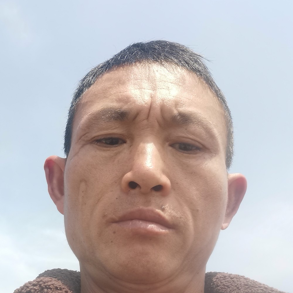 会员801438005的照片
