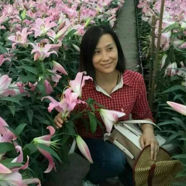 安详小白菜的照片