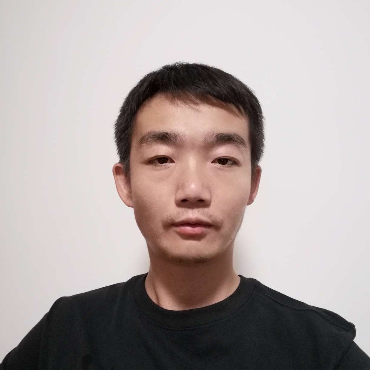 乱山栖鸦的照片