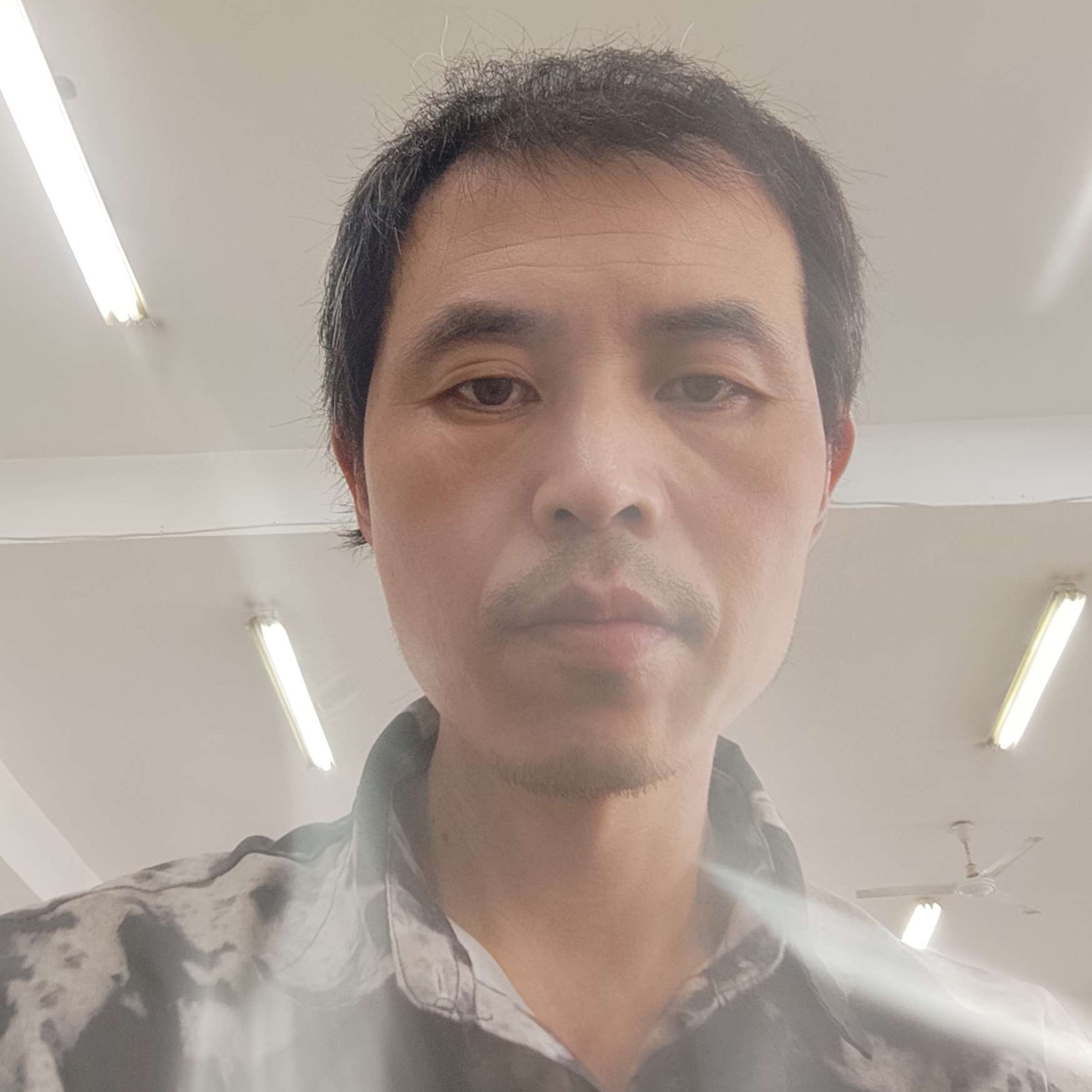 花落的照片