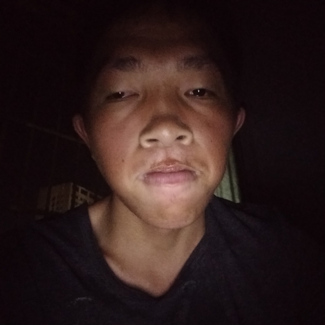 芹菜等待端庄的照片