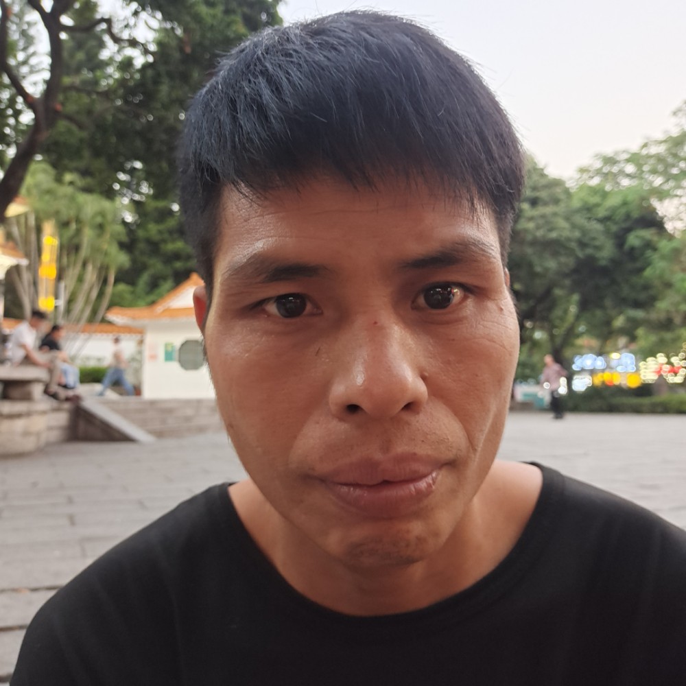 小懒猪放弃高高的照片