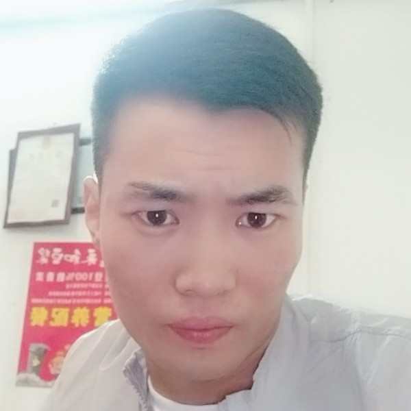 外向西牛的照片