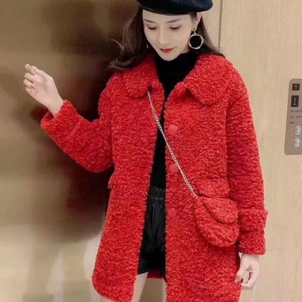 鱼蹁跹外向的照片