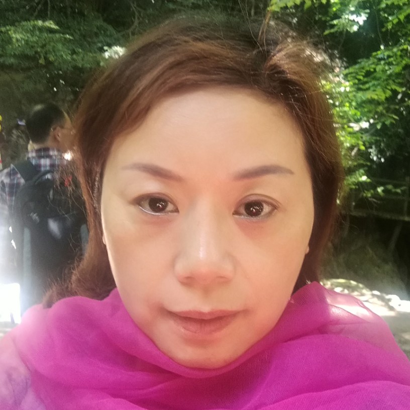 安详白猫的照片