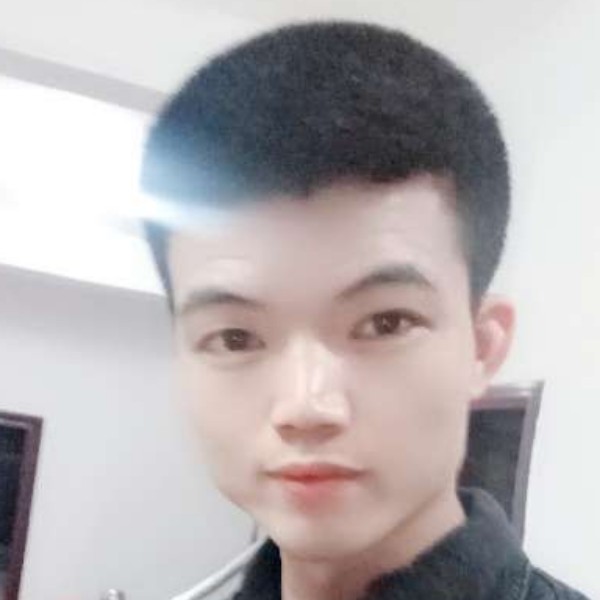 老鼠漫步傻傻的照片