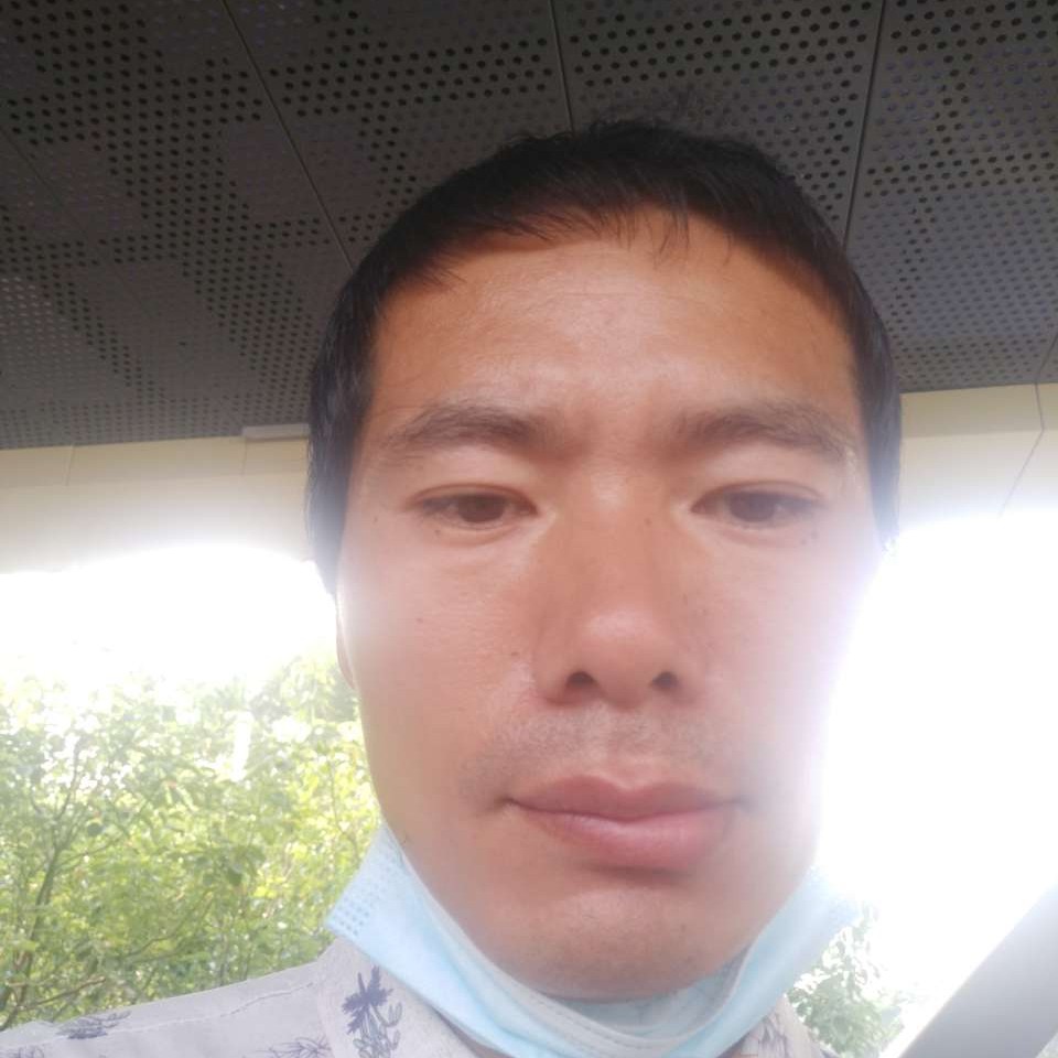 美好邂逅飞鸟的照片