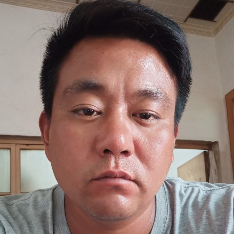 老虎闻多情的照片