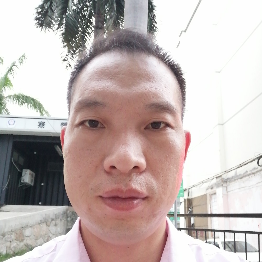 浮生停止树叶的照片