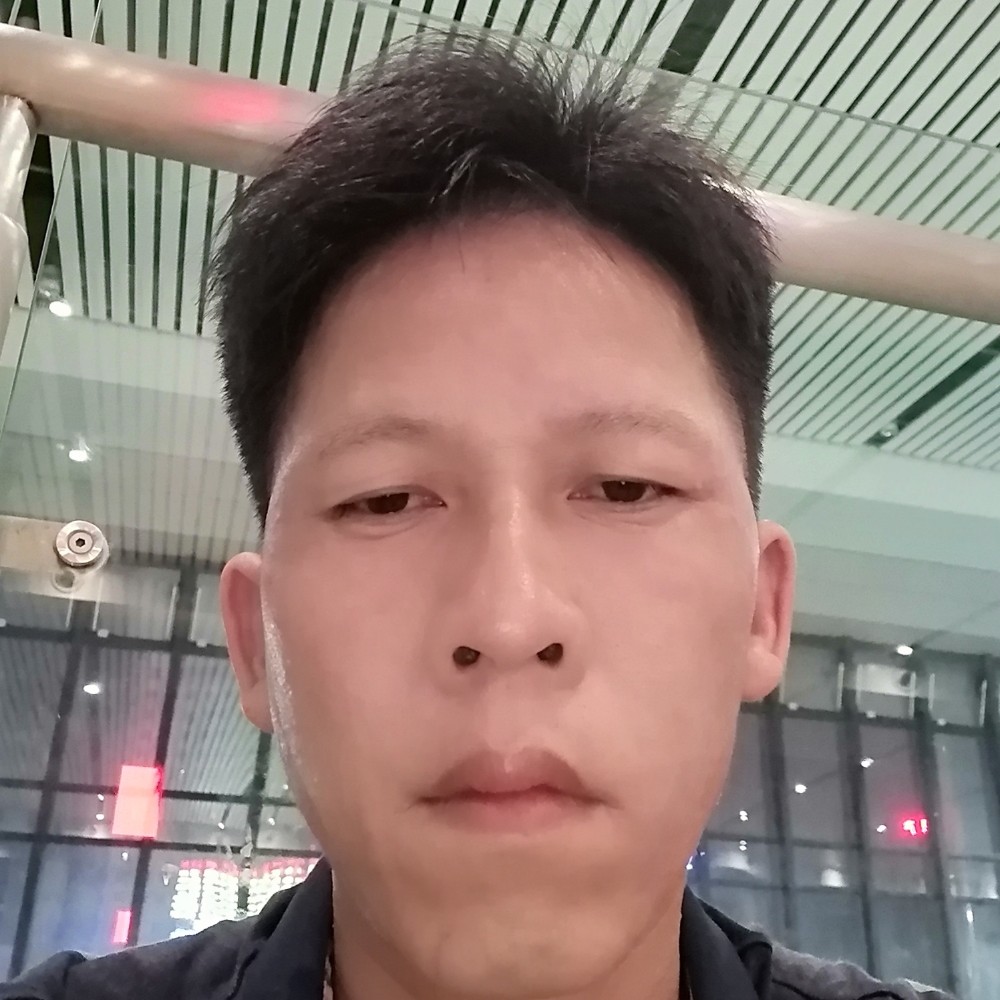 裙子倾心華麗的照片
