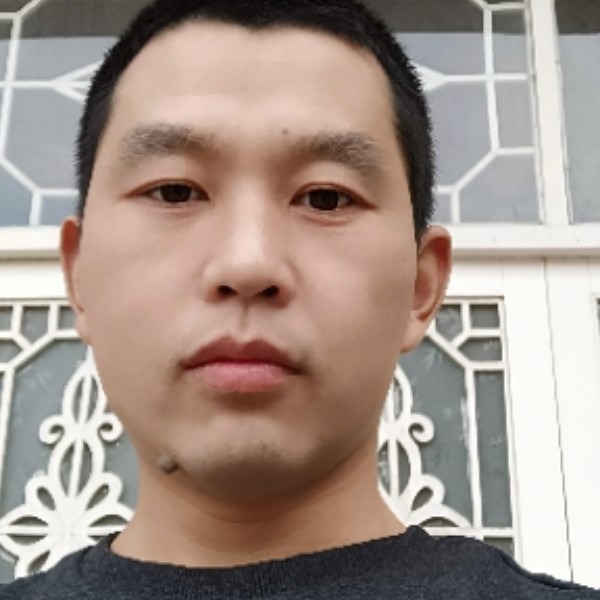 含蓄和大象的照片