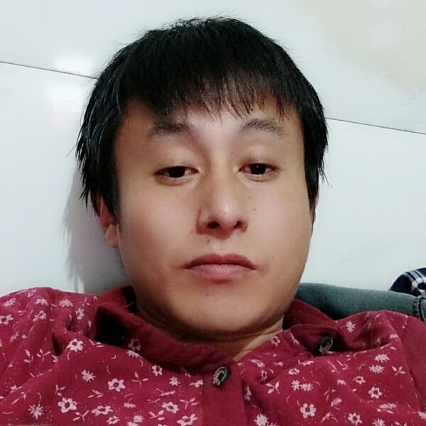 便当壮观的照片