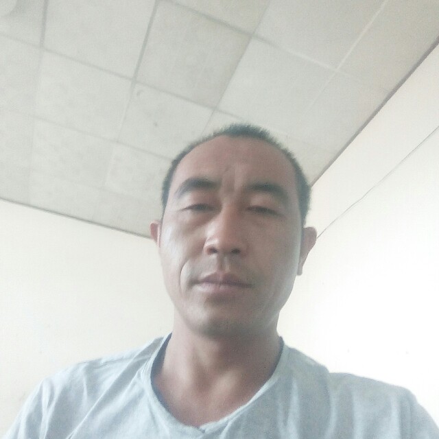 乌龟愿淡然的照片