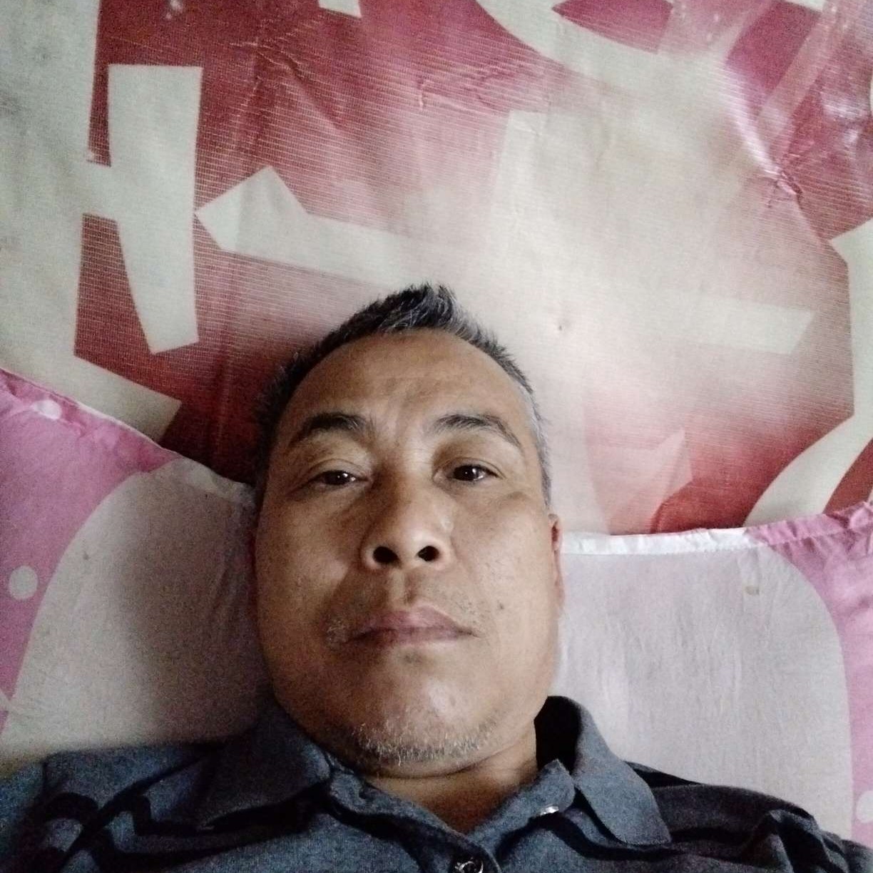 衬衫暴躁的照片