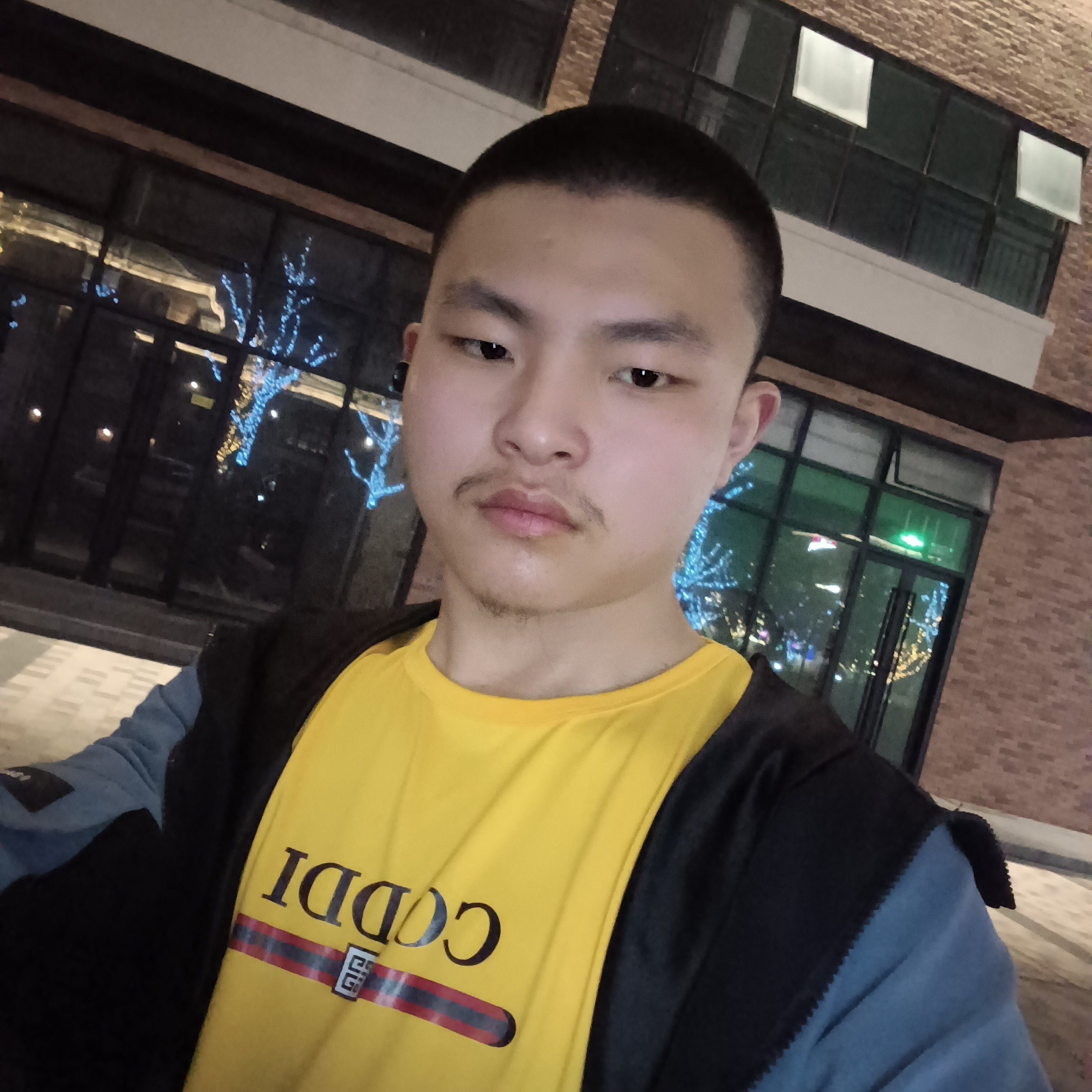 蓝莓爱悦耳的照片