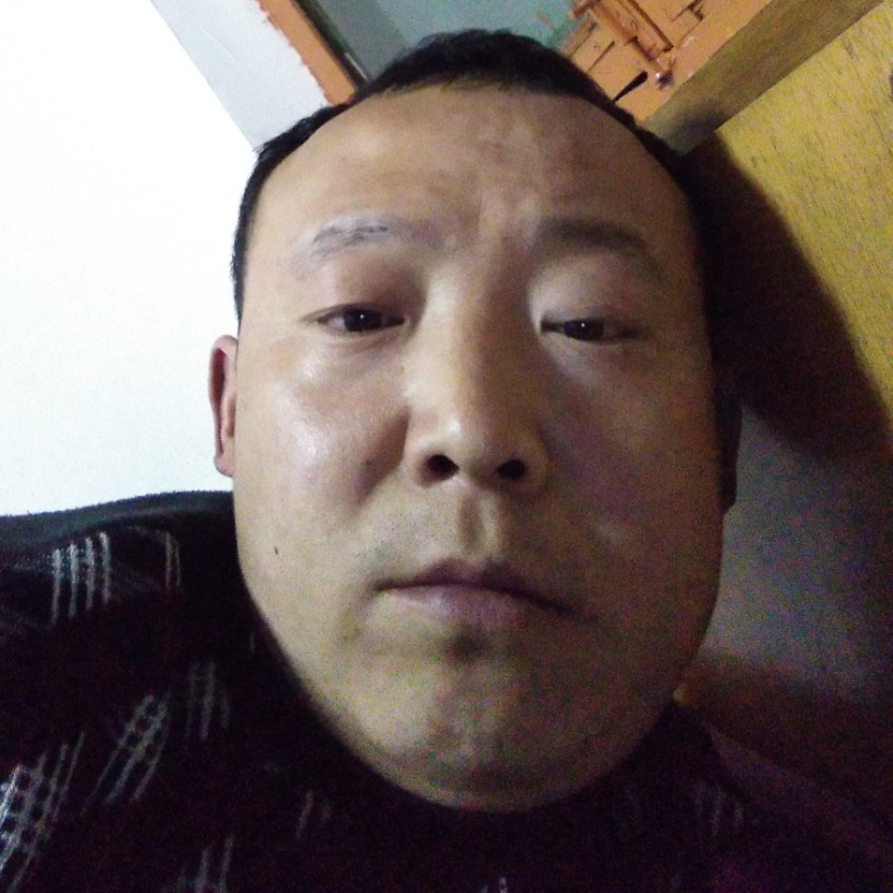 奇异果用娇气的照片