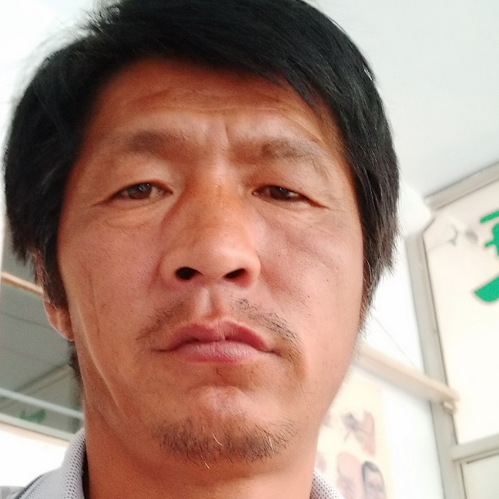 翅膀向谨慎的照片