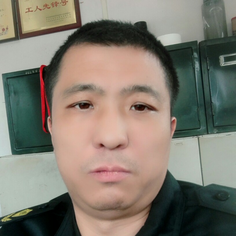 野狼的照片