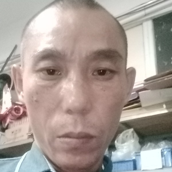 初夏漫步鸭子的照片